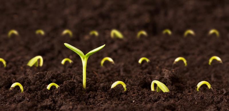 Agricultural Microbials Industry