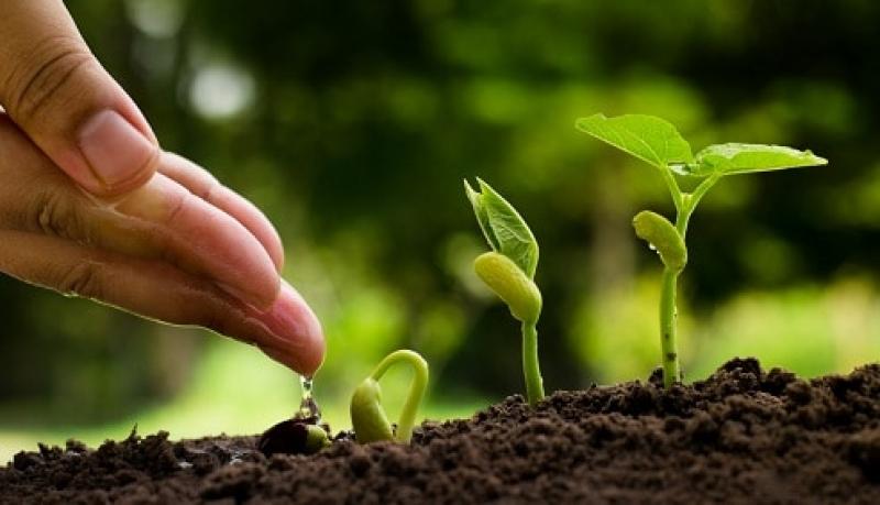 Agricultural Microbials Market