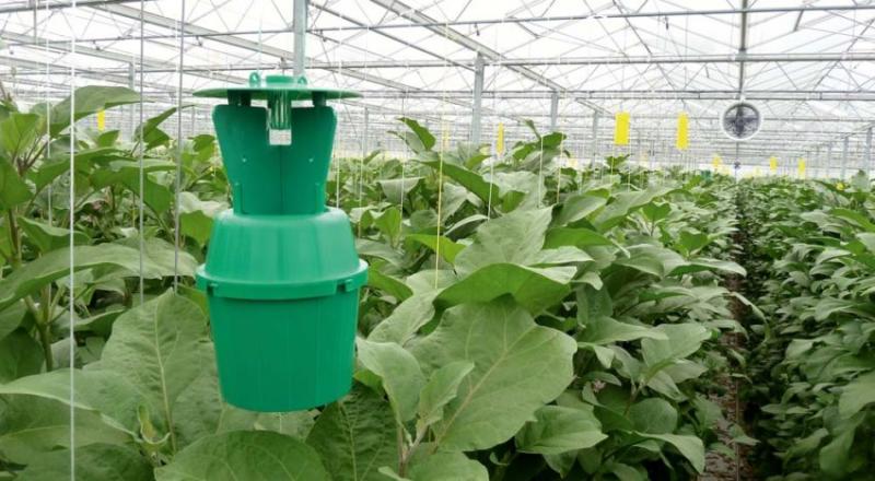 Agricultural Pheromones Market Study 2018: Impressive Development to Be Observed In Revenue and Growth Rate Across The Globe By 2023 Agricultural Pheromones Market