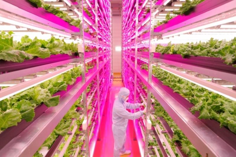 Agricultural Plant Growth LED Lights Market 