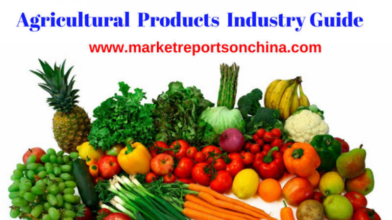 market research report