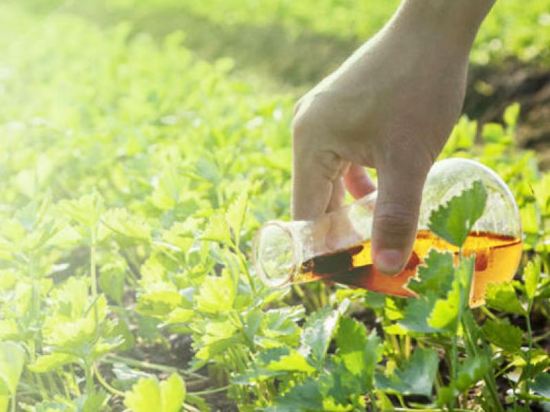 Agricultural Surfactants