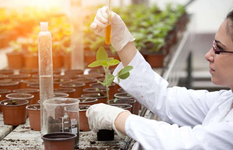 Agricultural Testing Market 