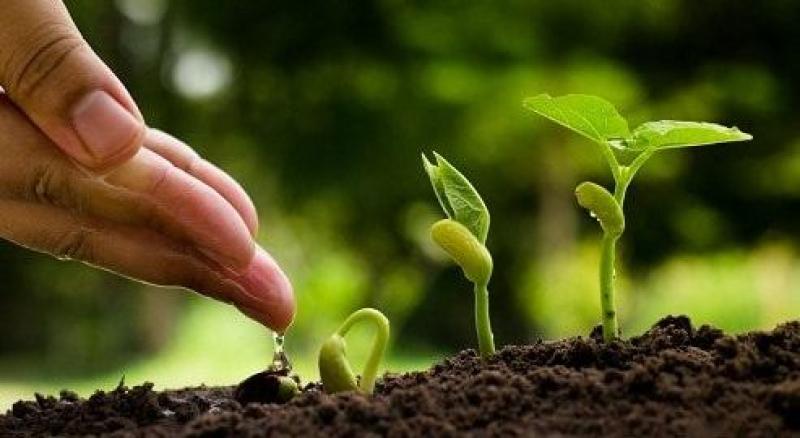 Agricultural Microbials Market 2025