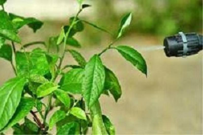 Agricultural Miticide Market 2024