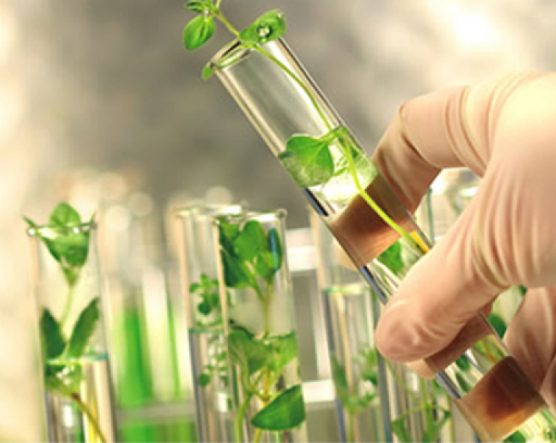 Agricultural Testing Market Trends, And Forecast To 2025