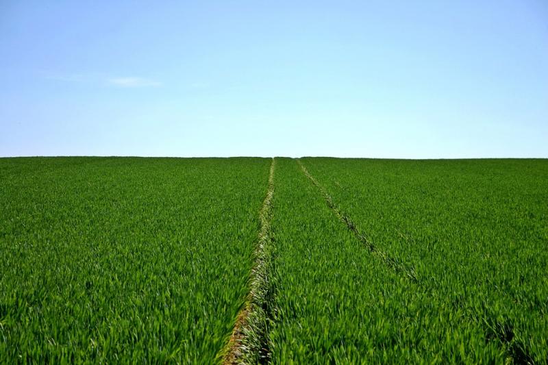 2023 Agriculture Market Share, Restraints, Segments And Regions