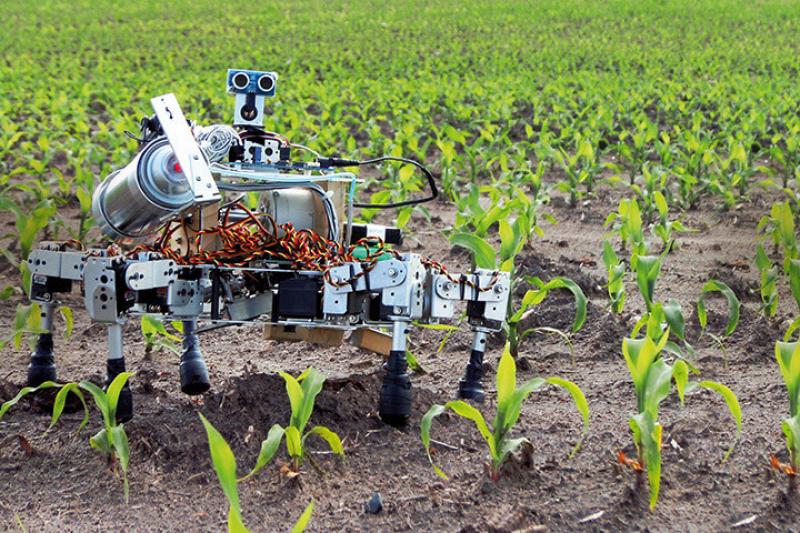Agriculture Robots 