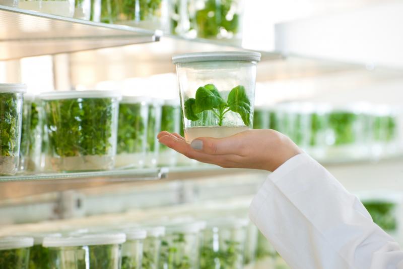Agrigenomics Market