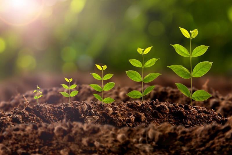 Agrigenomics Market 