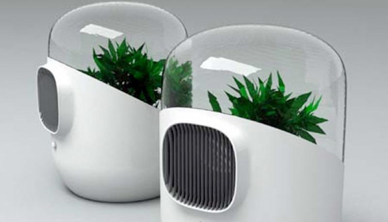 Air Purification Market