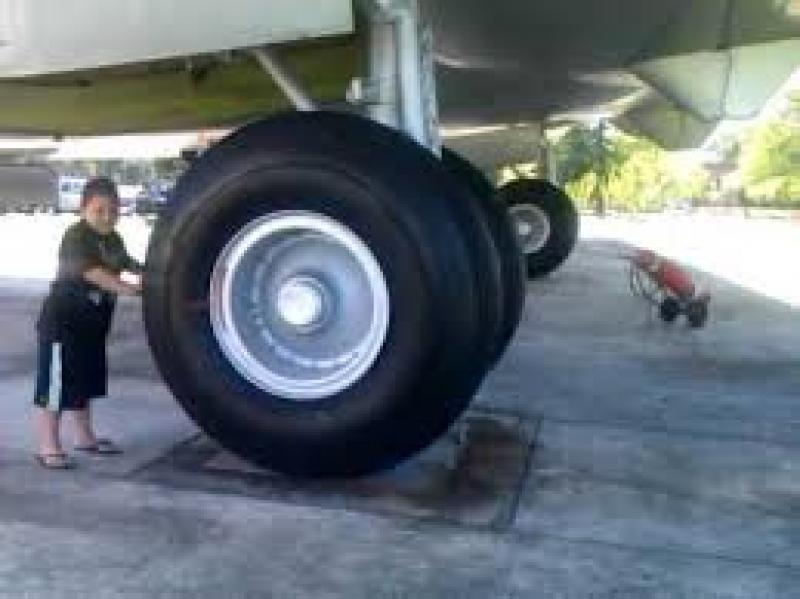 Aircraft Tire Market Share