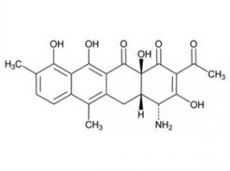 Alendronic Acid