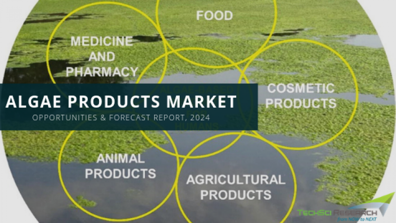 Algae Products Market 