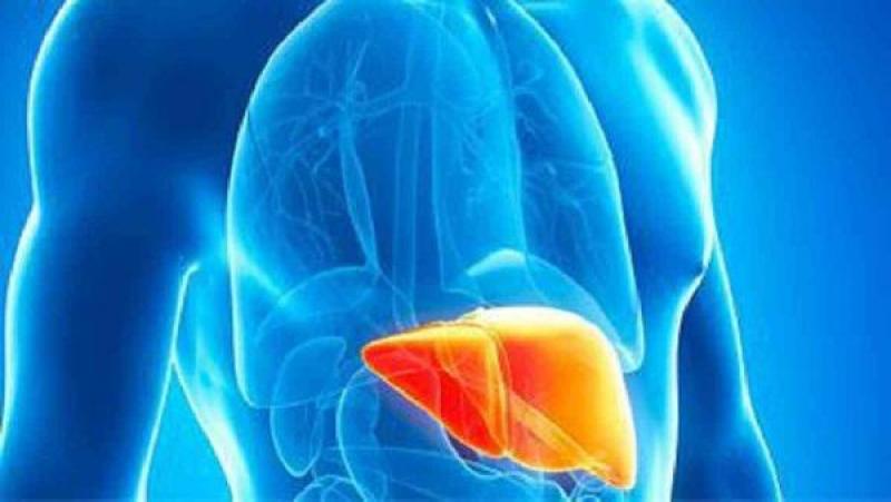 Alpha 1 Antitrypsin Deficiency Treatment, Alpha 1 Antitrypsin Deficiency Treatment Market, Alpha 1 Antitrypsin Deficiency Treatment Market Growth