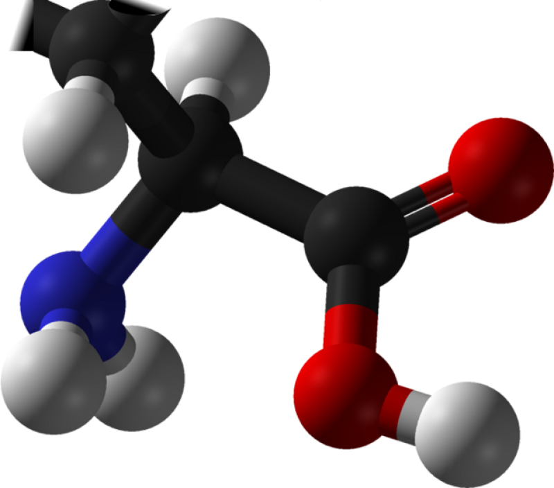 Amino Acid 
