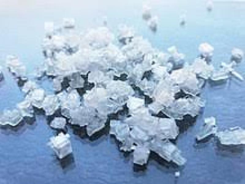 World Ammonia Market Research Report 2024