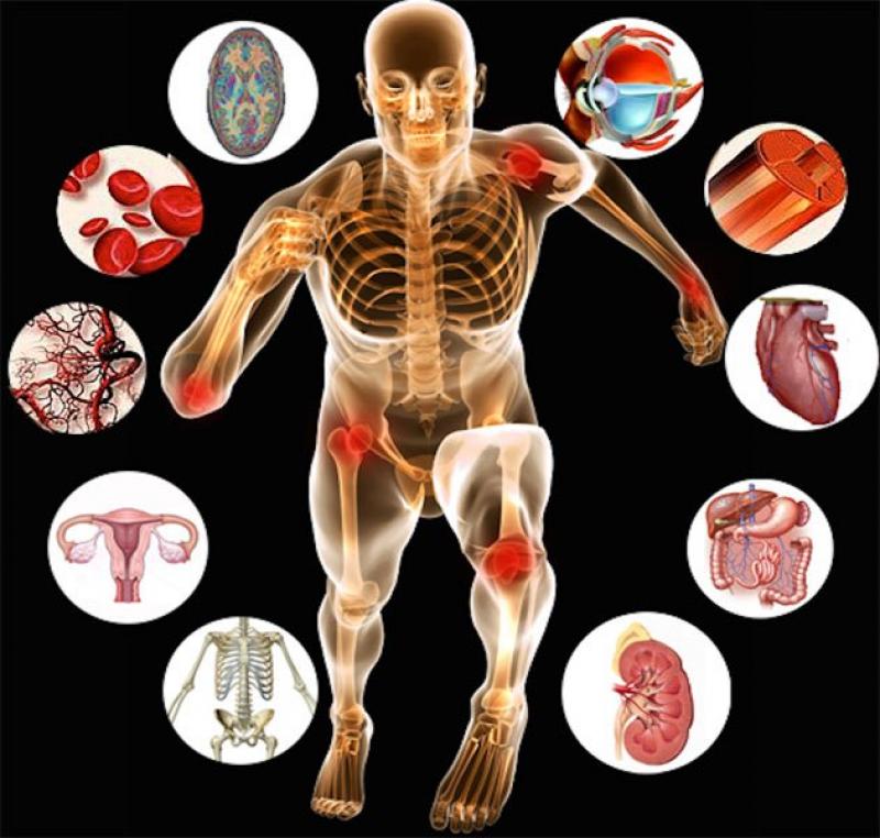 Anatomy Pathology Market | Market Data Forecast