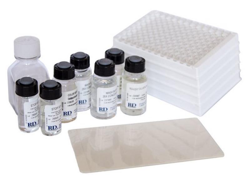Ancillary Reagents 