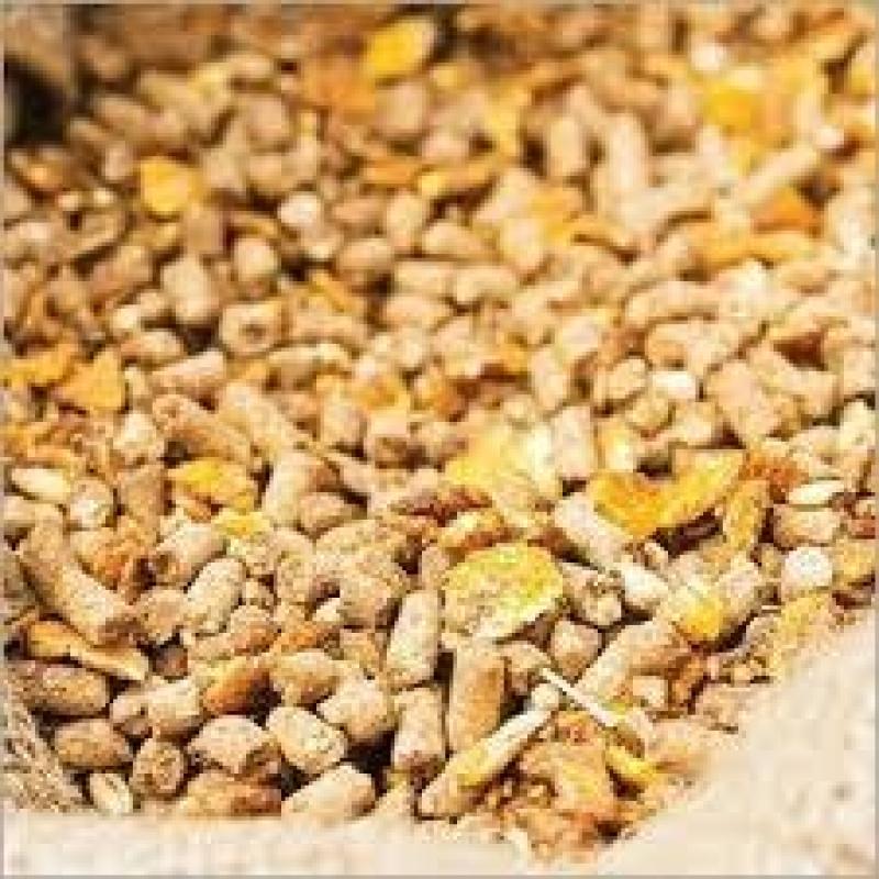 Animal Feed Enzymes Market
