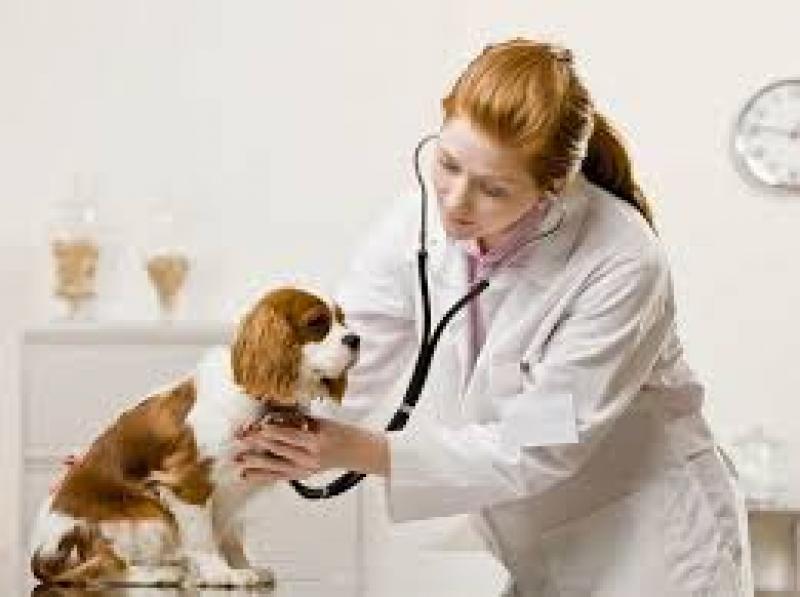 Animal Parasiticides