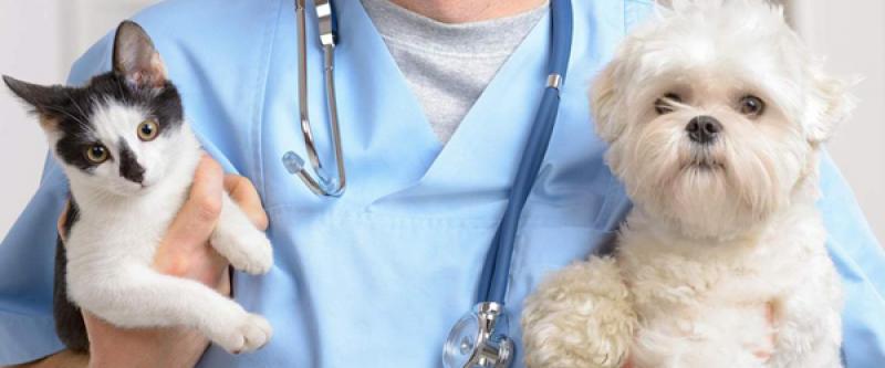 Animal Parasiticides Market Shares