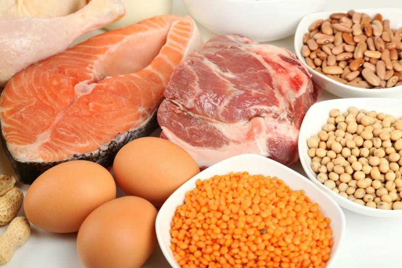 Animal Placental Protein Market