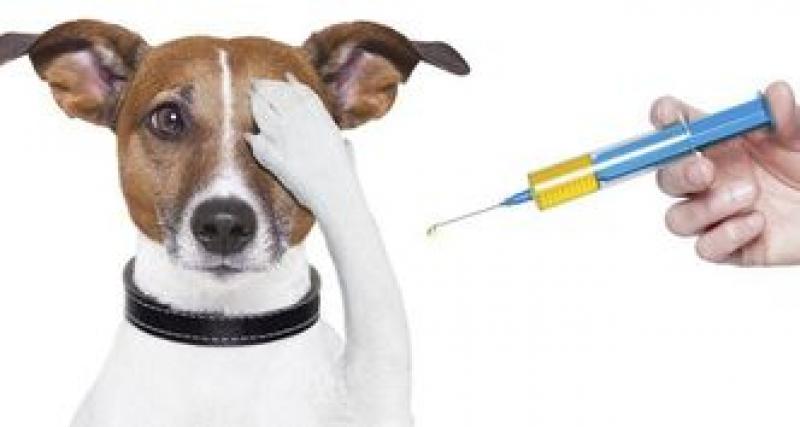 Animal Vaccines Market
