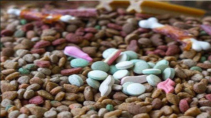 Animal Nutrition Chemicals