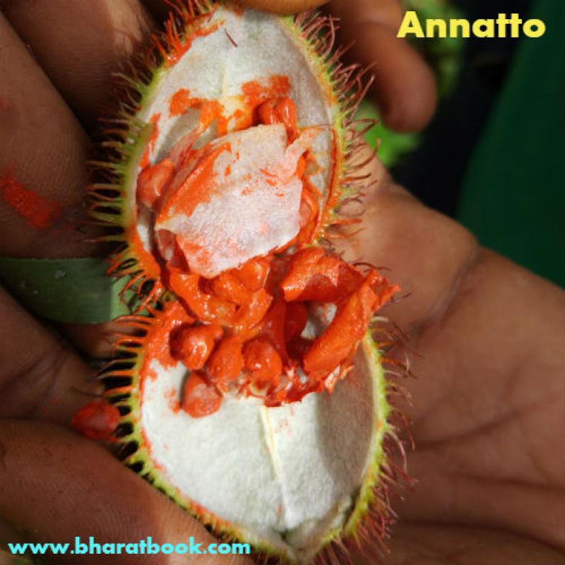 Global Annatto Market Research Report : Players, Regions, Product Types & Applications 2023