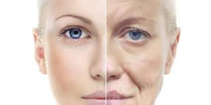  Anti-Aging Supplements Market