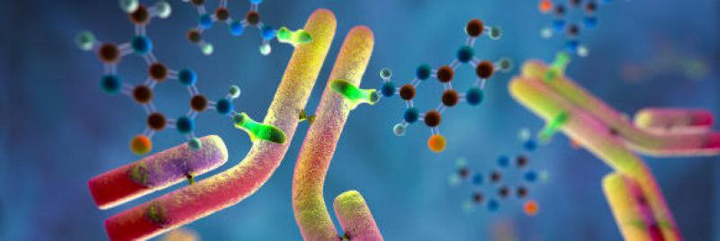 Global Antibody Drug Conjugates Market Report 2020