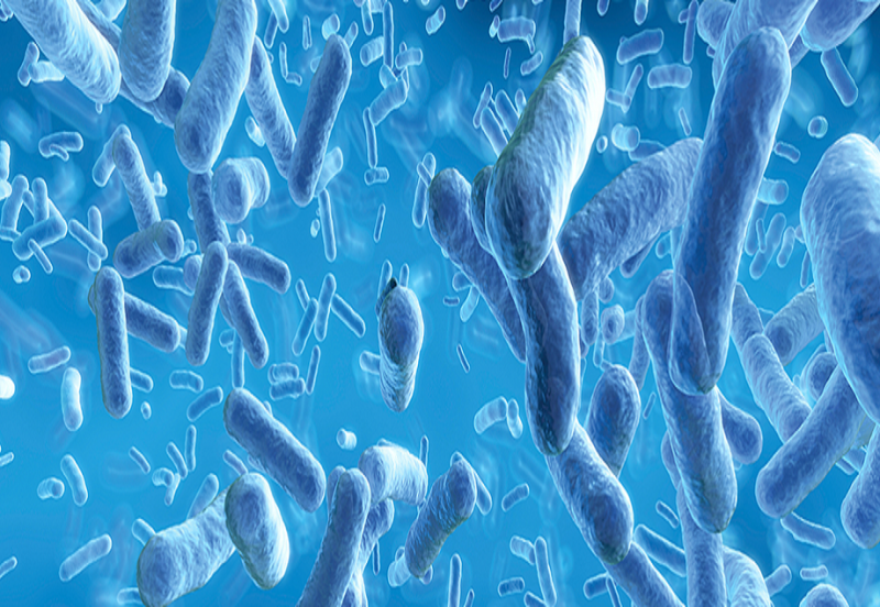 Antimicrobial Powder Coatings