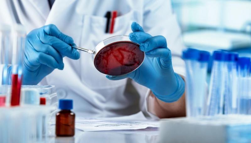 Antimicrobial Therapeutics Market 