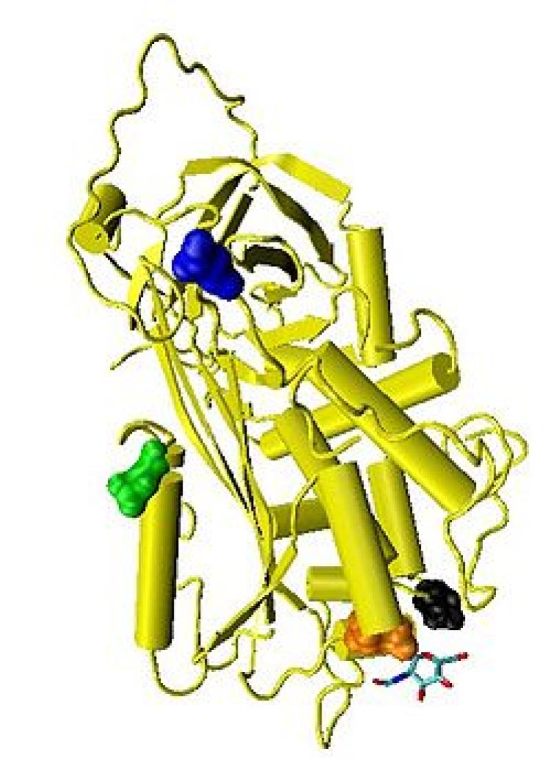 Antithrombin Sales