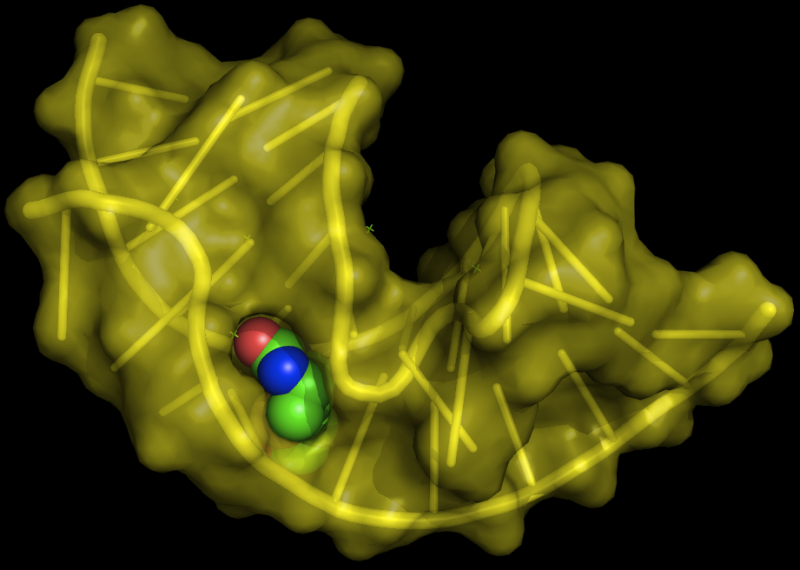 Aptamers Market