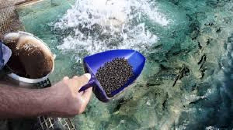 Aquaculture Feed Market Report 2018 Aquaculture Feed