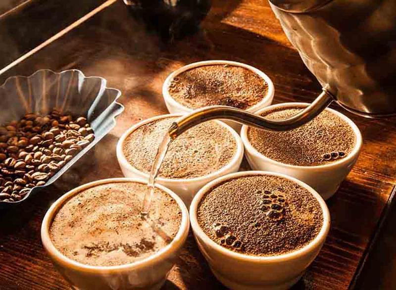Arabica Coffee 