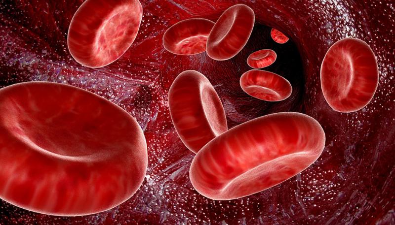  Artificial Blood Market
