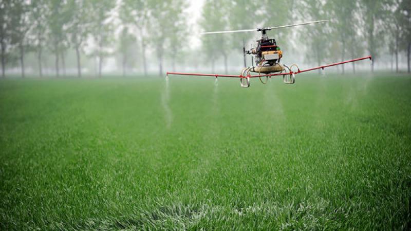 Artificial Intelligence in Agriculture