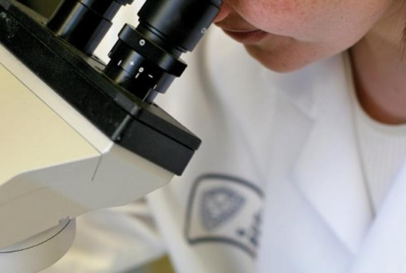 Aryl Hydrocarbon Receptor,  Aryl Hydrocarbon Receptor Market,  Aryl Hydrocarbon Receptor Market Growth,  Aryl Hydrocarbon Receptor Market Size,   Aryl Hydrocarbon Receptor Market Share