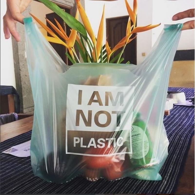 Asia Compostable Plastics Industry