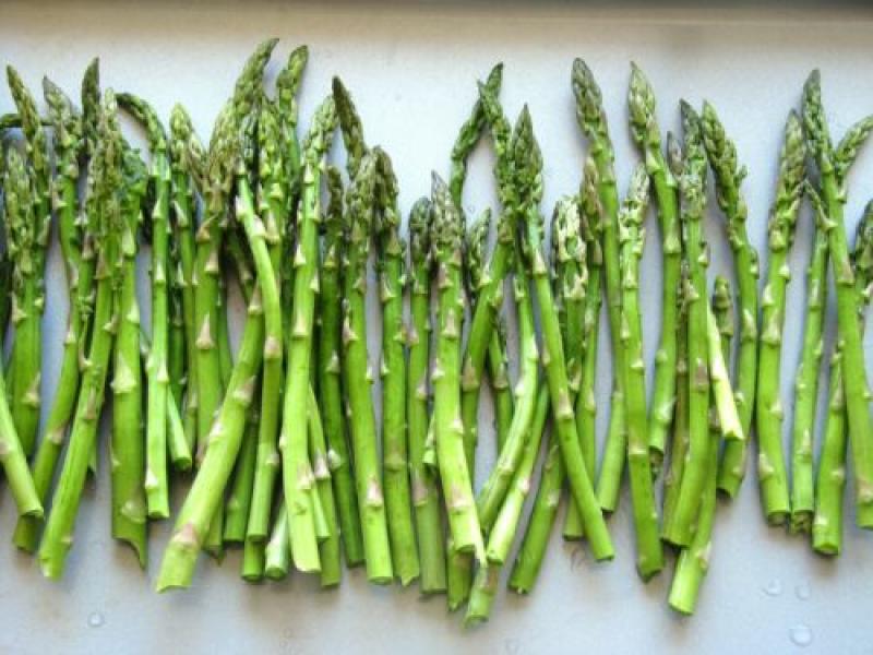 Asparagus Market poised to progress steadily at 4% CAGR by 2031