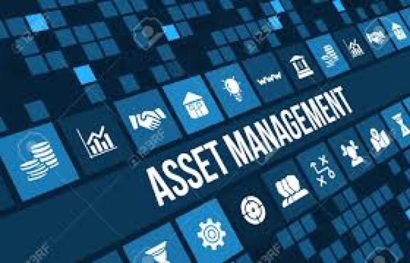 Asset Management Software 