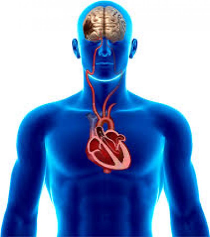 Atrial Fibrillation Devices