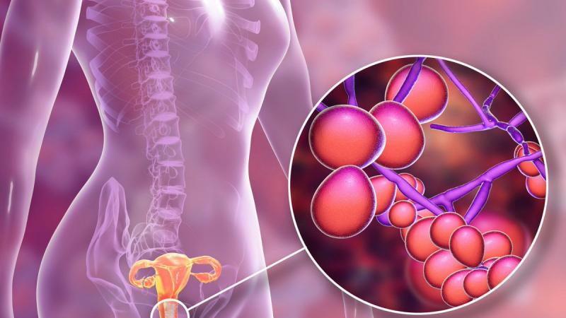 Atrophic Vaginitis Treatment Market