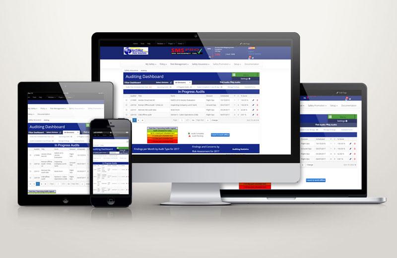 Audit Software 