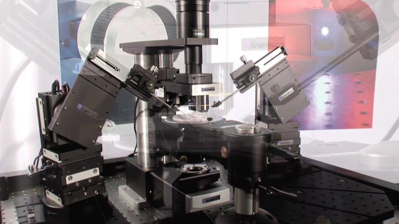 Automated Patch Clamp System Market Automated Patch Clamp System Market