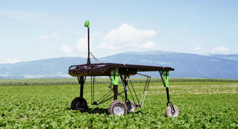 Autonomous Robot Weeder