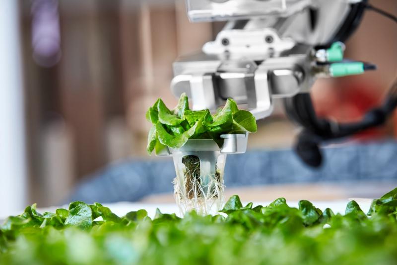Autonomous Vegetable Weeding Robots